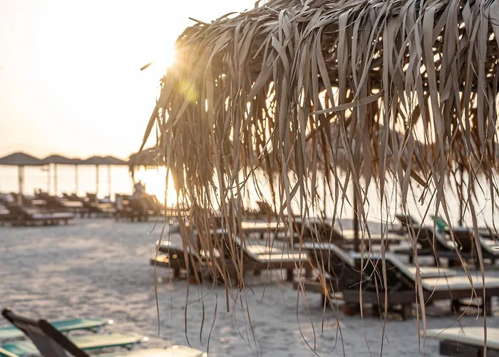 Akti Dimis Τιγκάκι